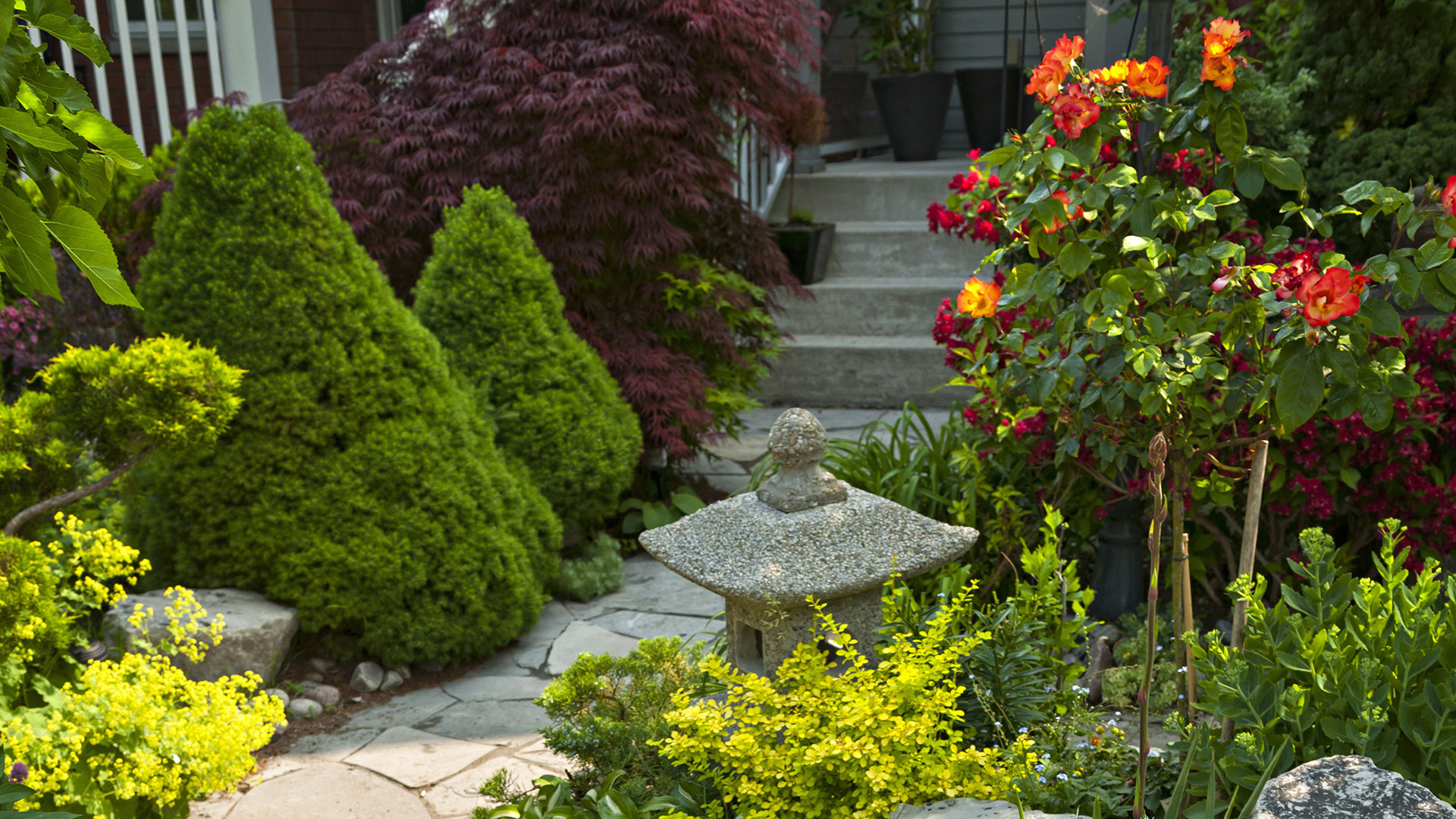 Lenexa Fertilization